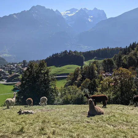 Gemuetliche In 300-jaehrigem Apartamento