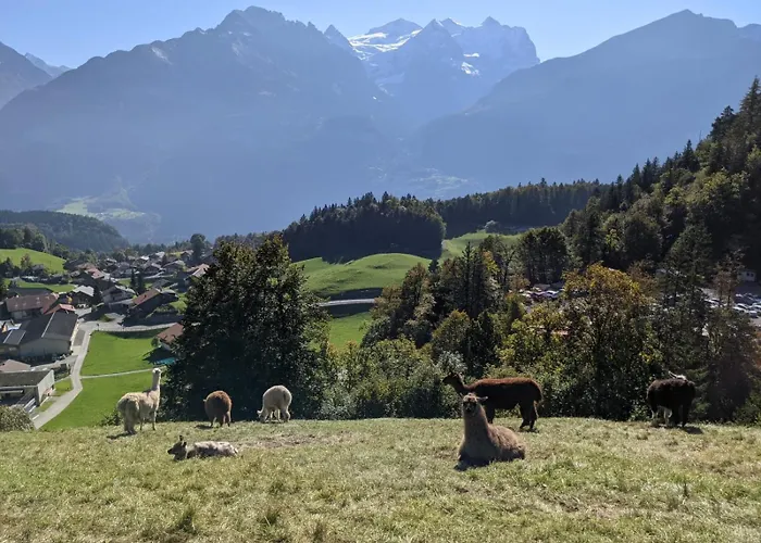 Gemuetliche In 300-jaehrigem Apartamento