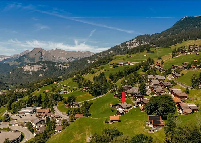 Gemuetliche In 300-jaehrigem Hasliberg